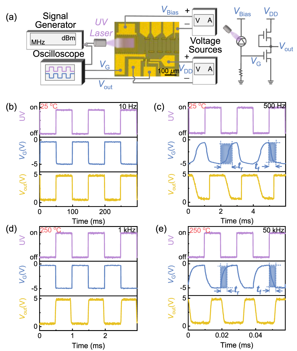 High-temperature ultraviolet photodetector and amplifying integrated ...