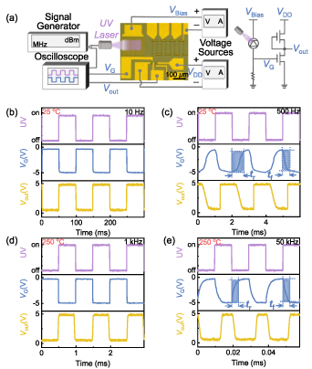 High-temperature ultraviolet photodetector and amplifying integrated ...