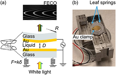 AC field driven interactions in concentrated electrolytes - IOPscience