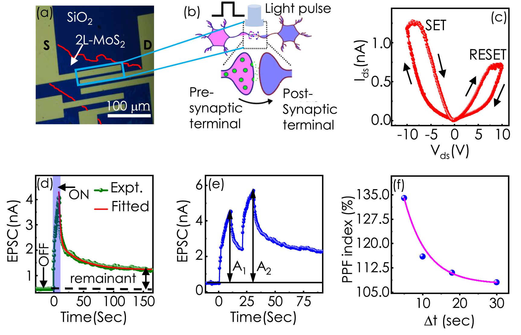 CVD grown bilayer MoS2 based artificial optoelectronic synapses for ...
