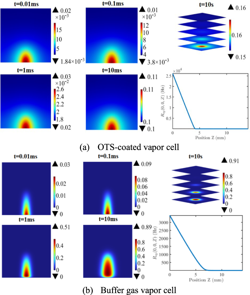 Effect of OTS coating on spin polarization and spatial homogeneity in ...