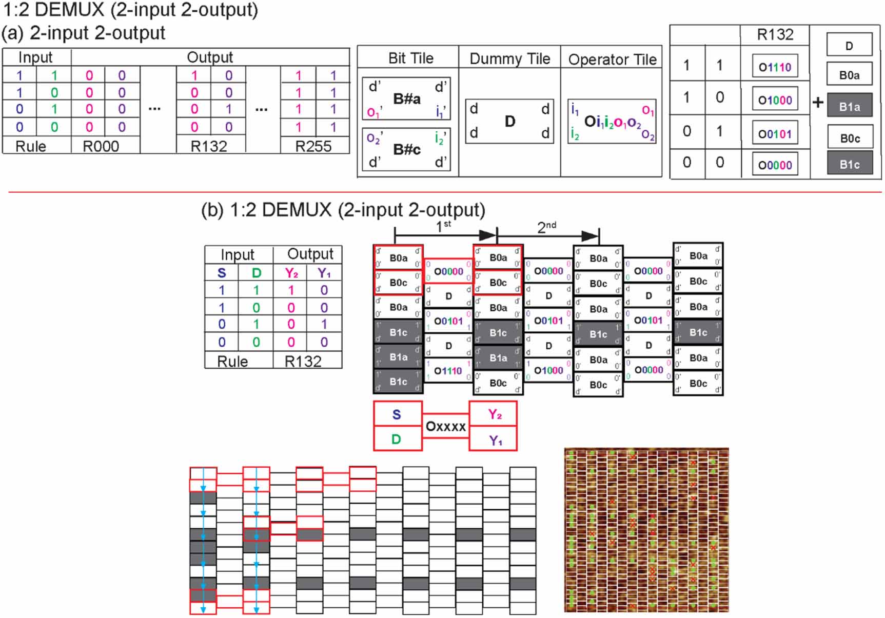 Programmable DNA assembly for realizing multiplexer and de-multiplexer ...