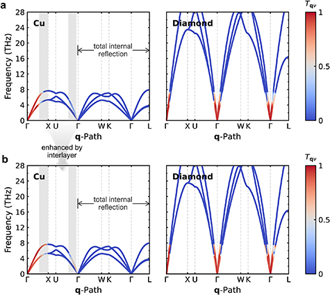 Role of modification interlayers in enhancing thermal transport across ...