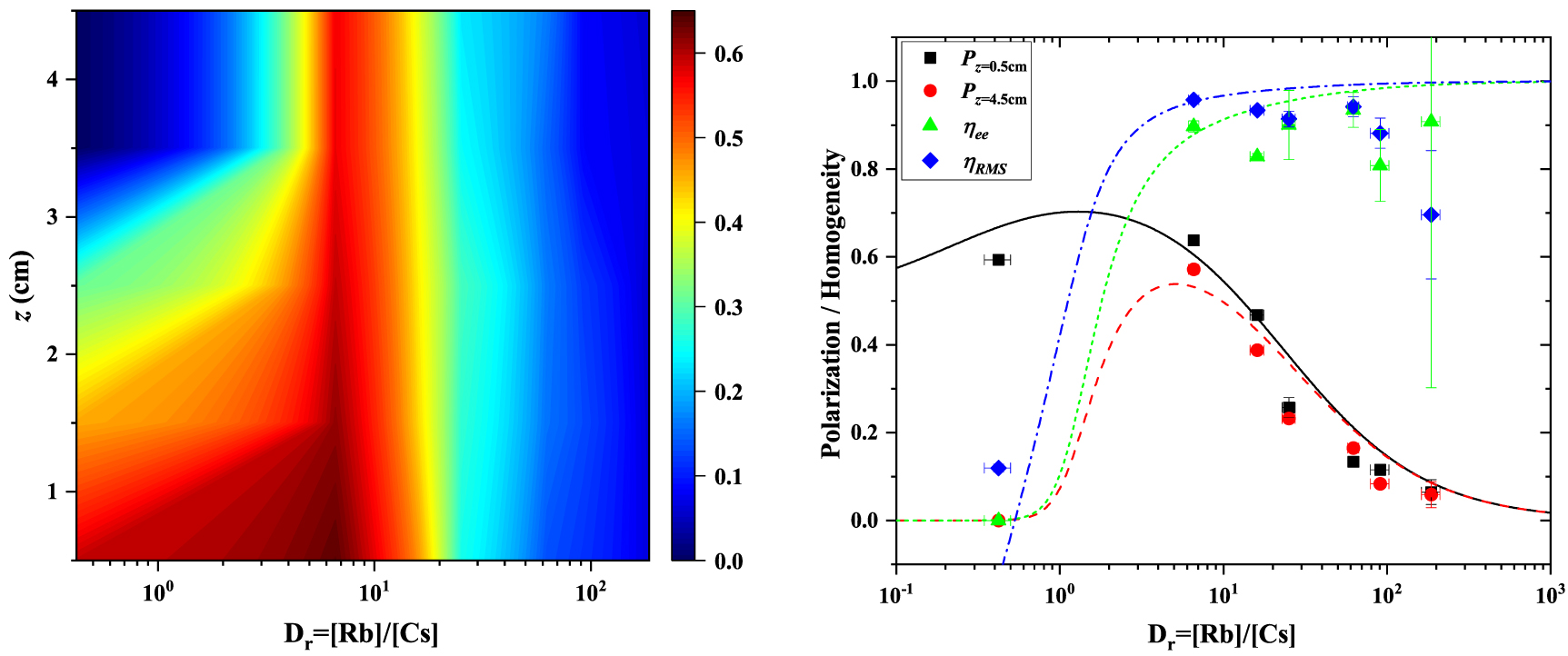 Density-ratio dependence of spin polarization and spatial homogeneity ...
