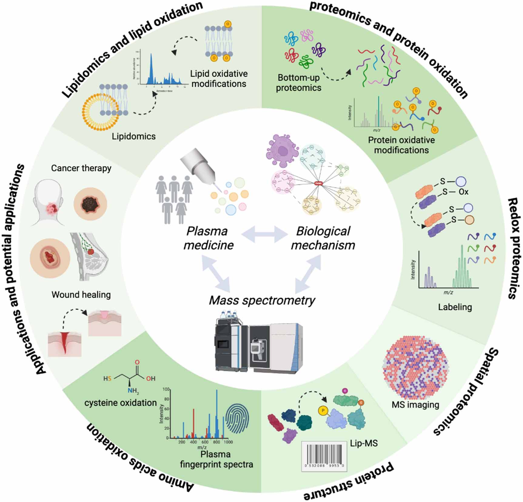Biomolecular mass spectrometry in plasma medicine - IOPscience