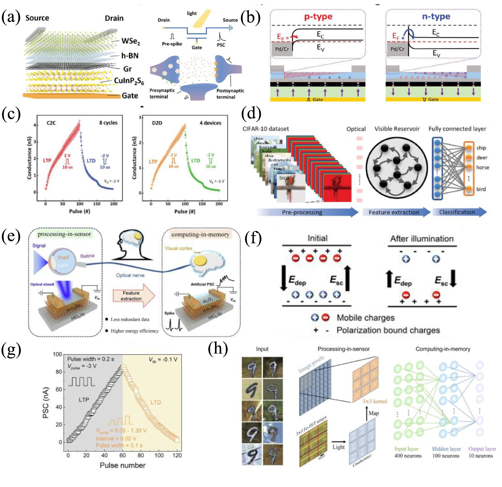 Research progress in artificial synapses based on two-dimensional ...