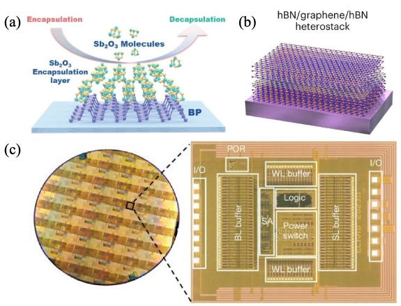 Research progress in artificial synapses based on two-dimensional ...