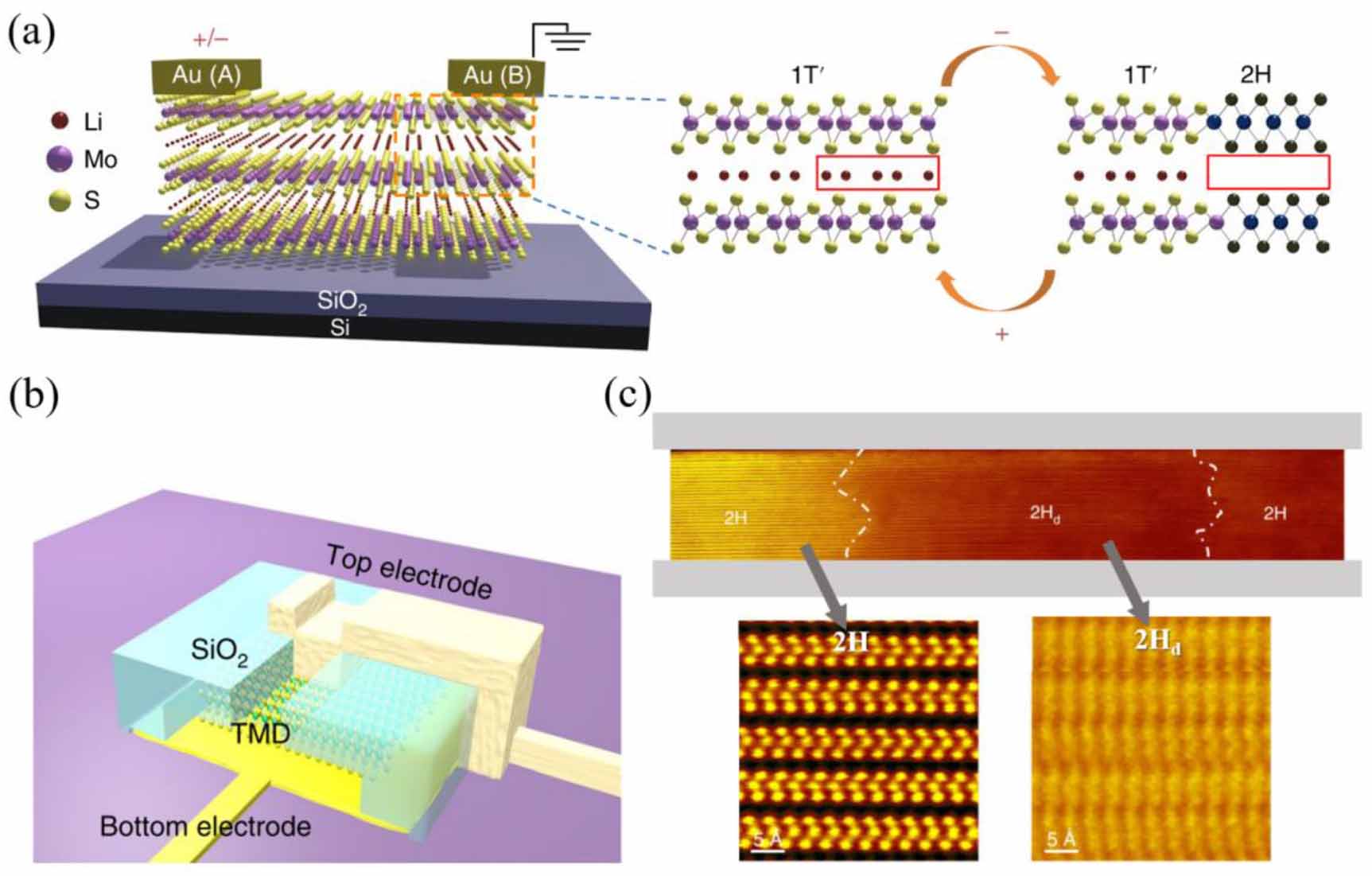 Research progress in artificial synapses based on two-dimensional ...