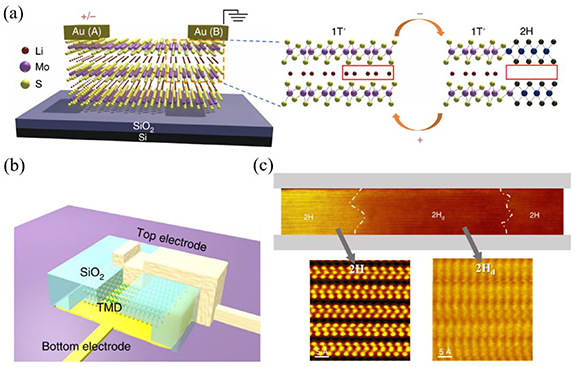 Research progress in artificial synapses based on two-dimensional ...