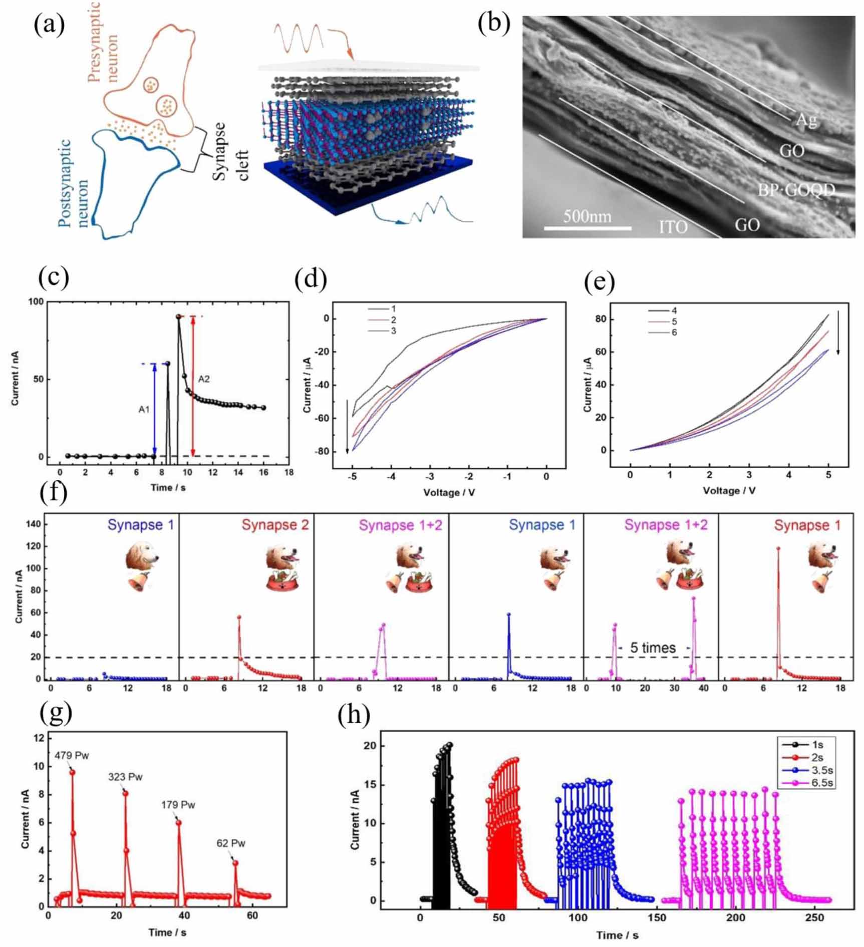 Research progress in artificial synapses based on two-dimensional ...