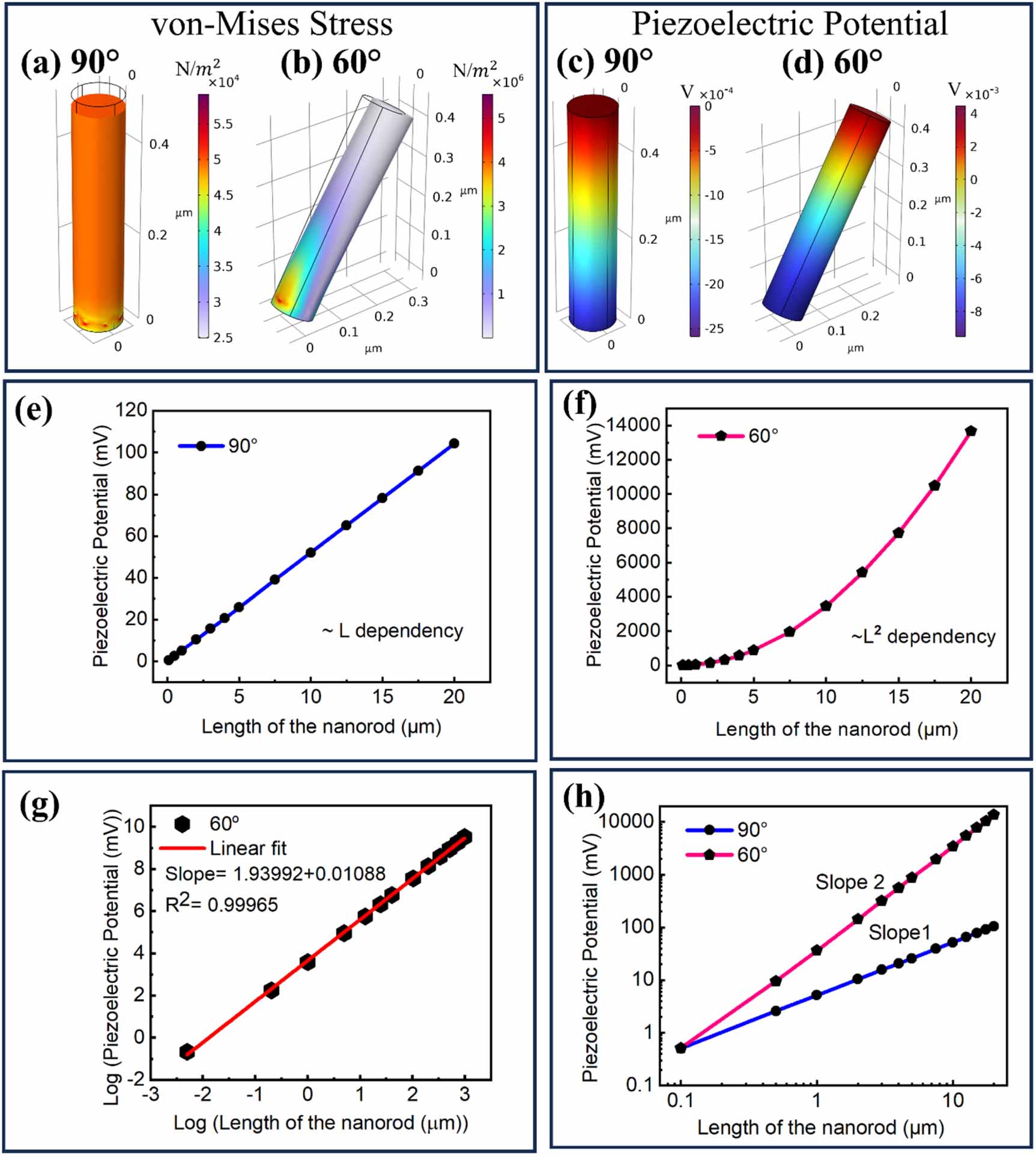 Understanding the enhanced piezoelectric response in inclined ZnO ...