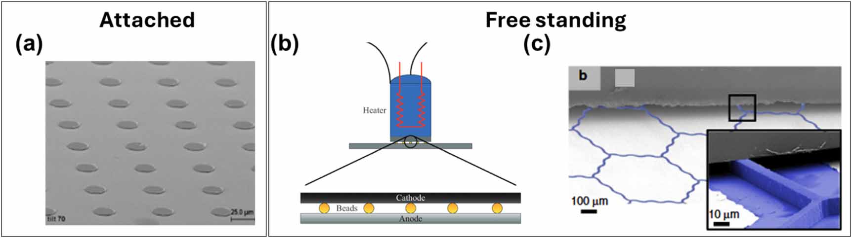 The 2026 thermionic converters roadmap - IOPscience