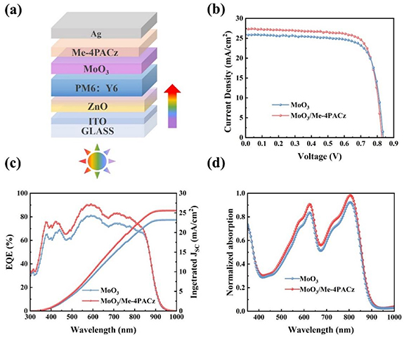 Self-assembled monolayers modified MoO3 hole transport layer for ...