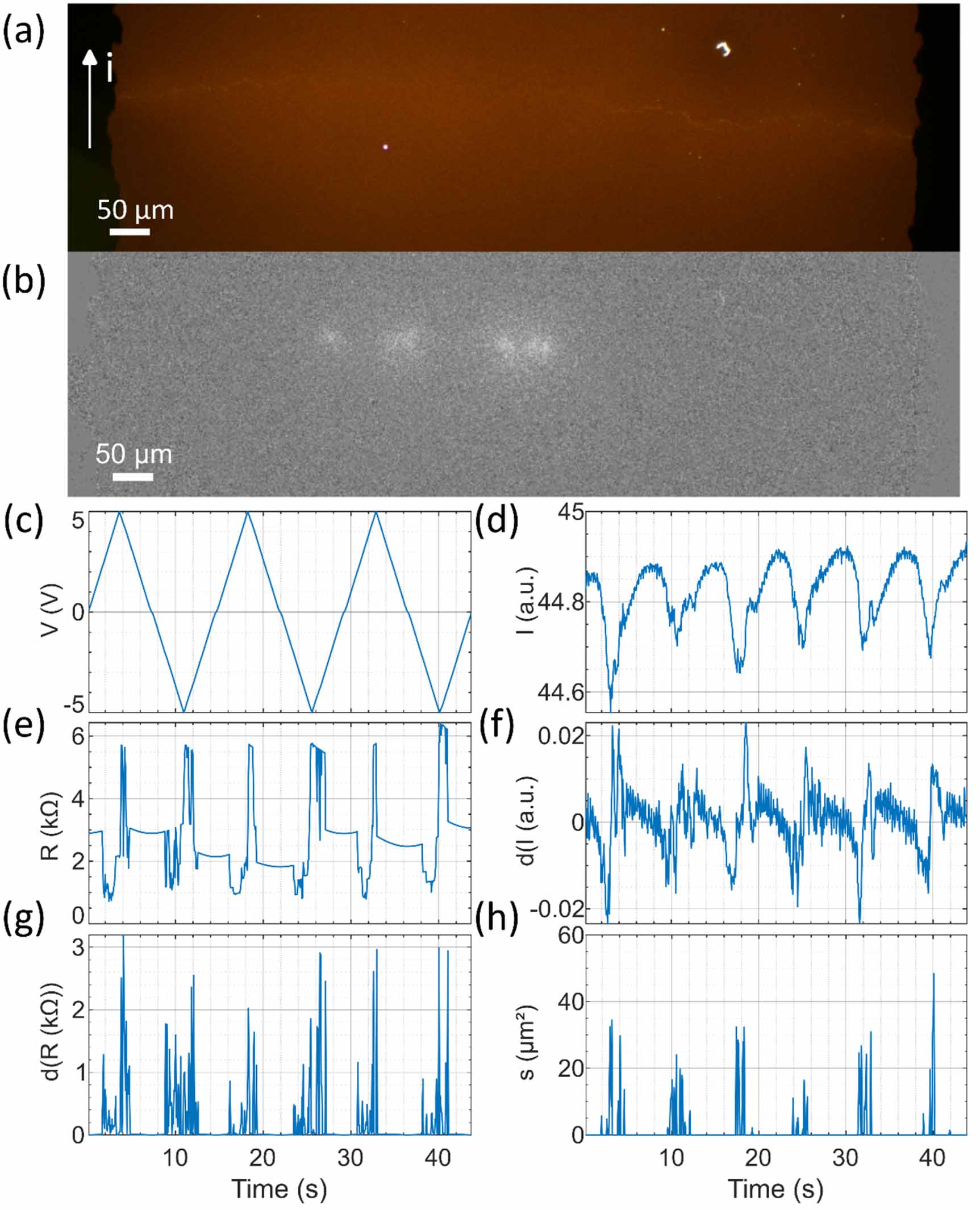 Operando Optical Microscopy Characterization of the reorganization at the microscale of ...
