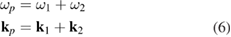 Equation (6)