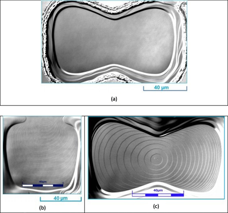 Figure 12. Refer to the following caption and surrounding text.