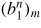 $(b_{1}^{n} )_{m}$