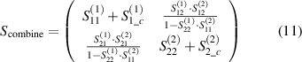 Equation (11)