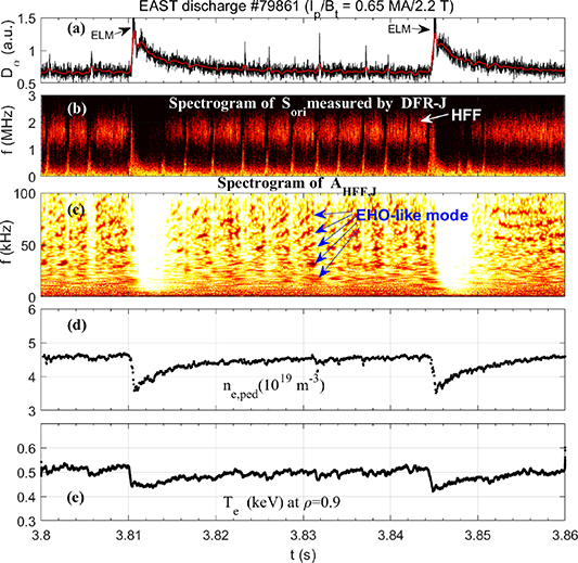 High-frequency fluctuation and EHO-like mode in the H-mode
