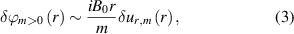 Equation (3)