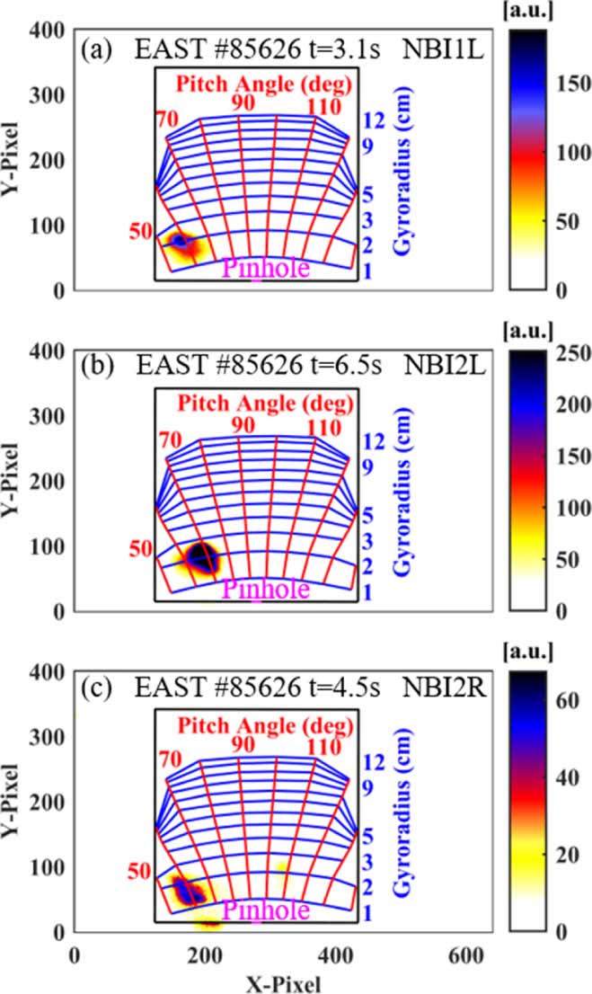 Beam-ion losses velocity-space distribution under neutral