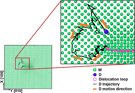 Trapping and de-trapping behavior of hydrogen isotopes in interstitial ...