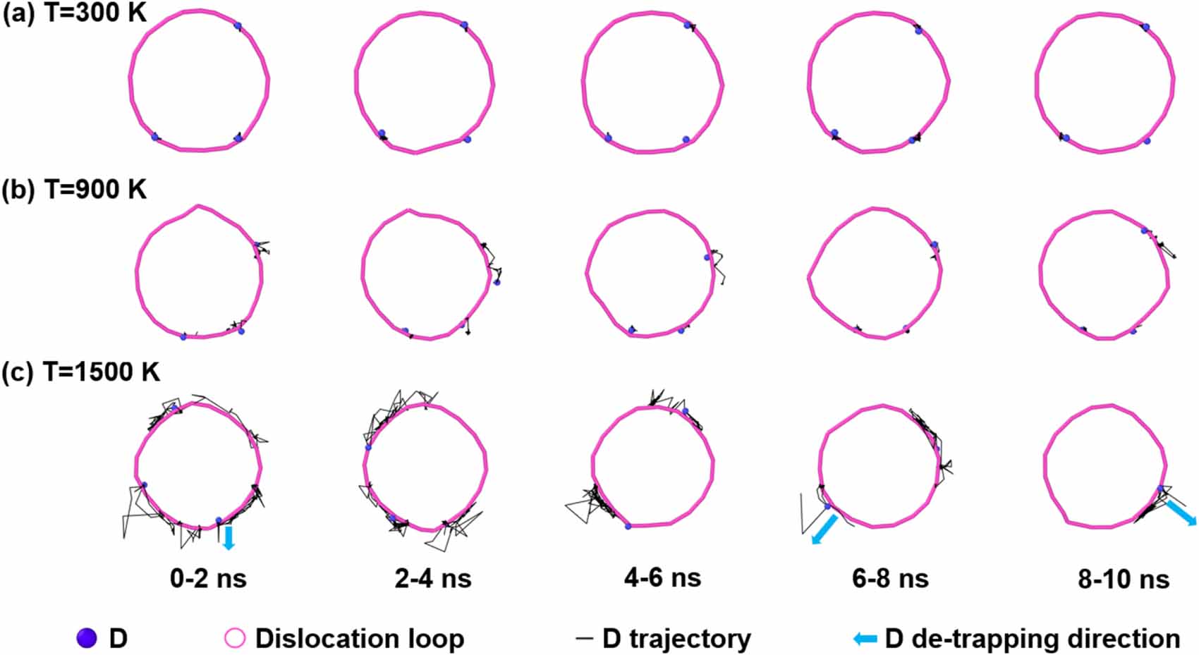 Trapping and de-trapping behavior of hydrogen isotopes in interstitial ...
