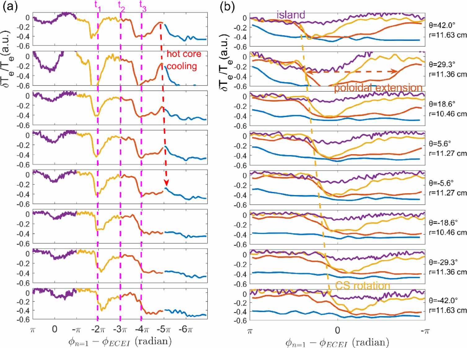 Cold Structure The continuous evolution of the cold structure from localized origin to ...