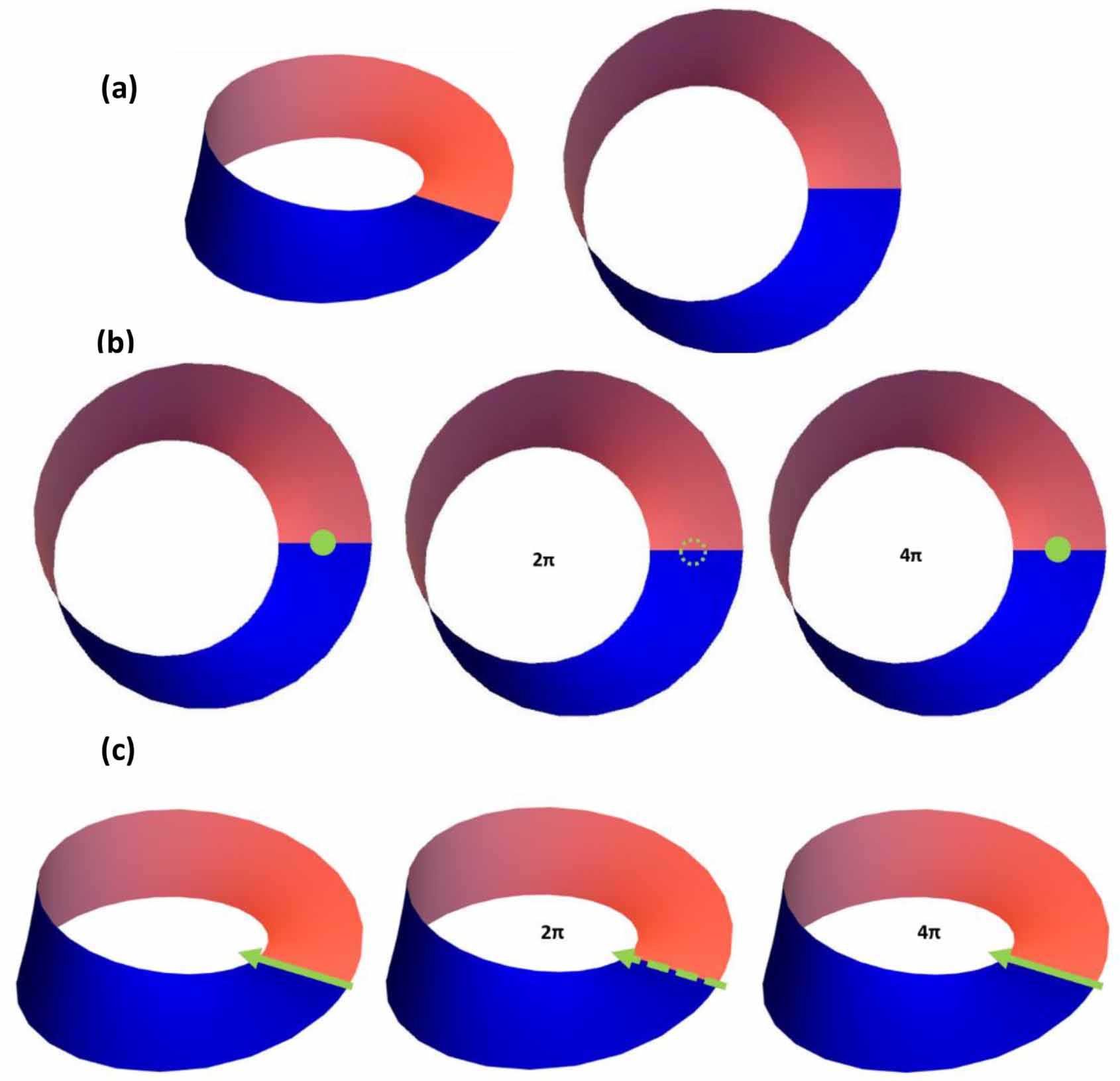 Using Möbius strip to describe non-integral spin of electrons - IOPscience