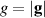 $g = |\mathbf{g}| $