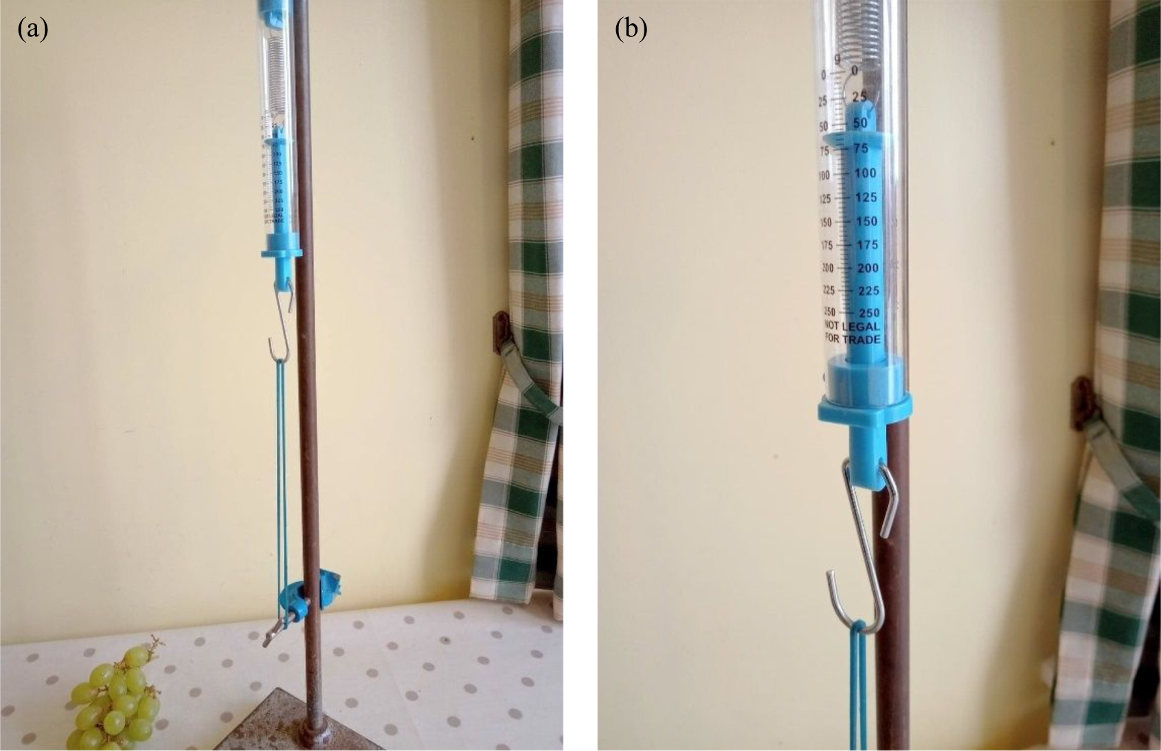 Spring balance and elastic—the answer - IOPscience