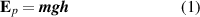 Equation (1)