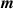 ${{\boldsymbol{m}}}$