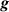 ${{\boldsymbol{g}}}$