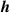 ${{\boldsymbol{h}}}$