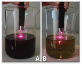 Teaching fluorescence of plants & algae in physics class to address ...