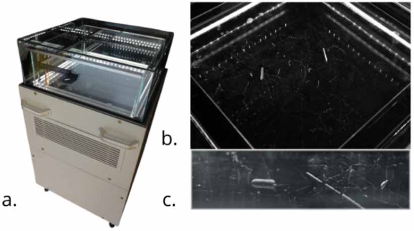 Radiation Visualized The impact of a cloud chamber demonstration on lay people’s conceptions ...