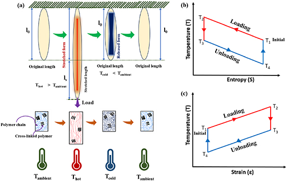 Demonstration of strain-based heating and cooling effects in balloon using smartphone-based thermal imaging camera