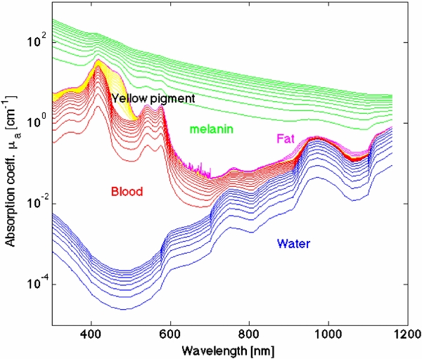 Tissue Optik Optical properties of biological tissues: a review - IOPscience