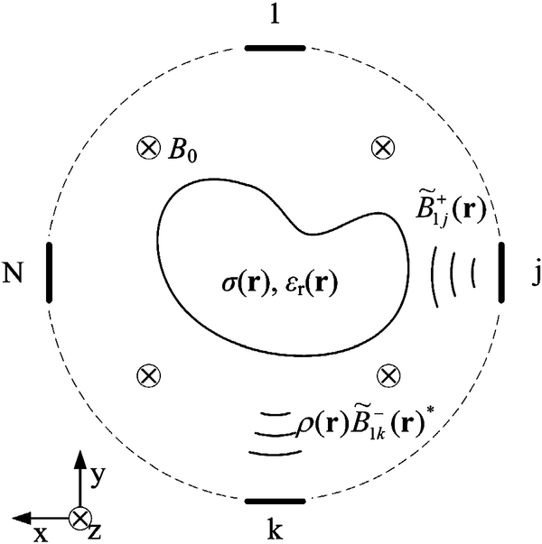 Determining electrical properties based on B1 fields measured in an MR ...