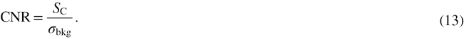 Equation (13)