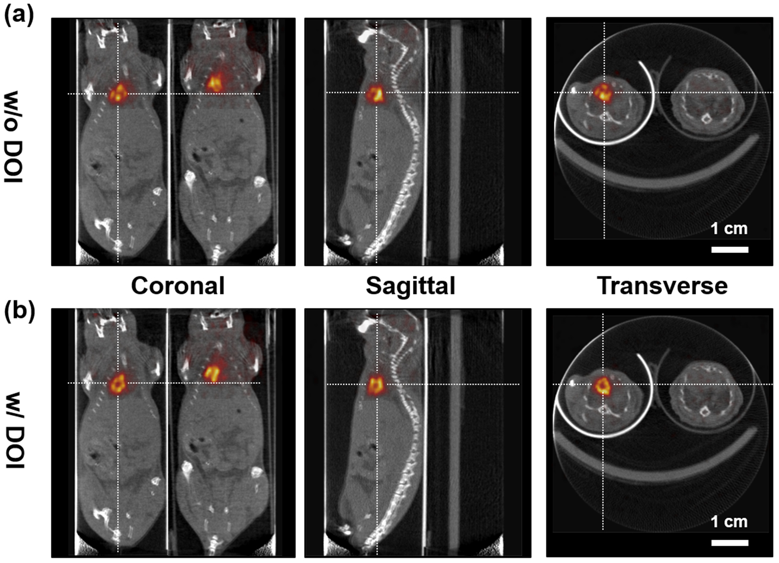 Prototype pre-clinical PET scanner with depth-of-interaction ...
