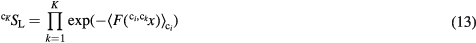 Equation (13)