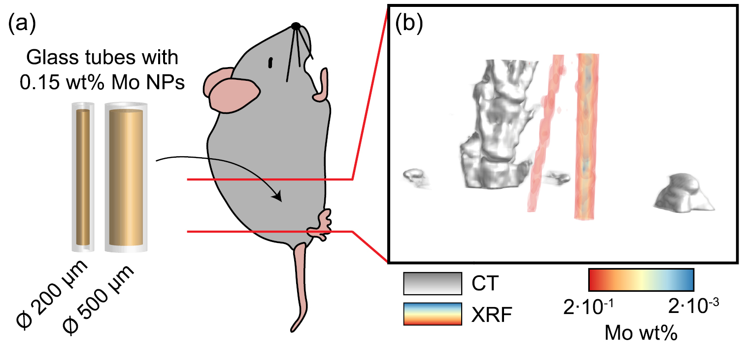 High-spatial-resolution x-ray fluorescence tomography with spectrally ...