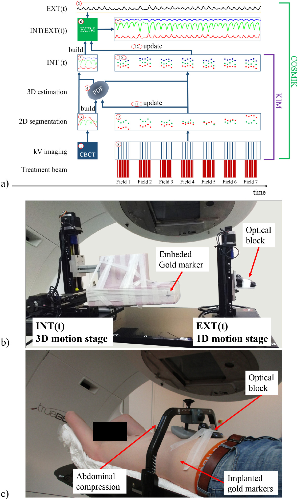 Automatic online and real-time tumour motion monitoring during ...