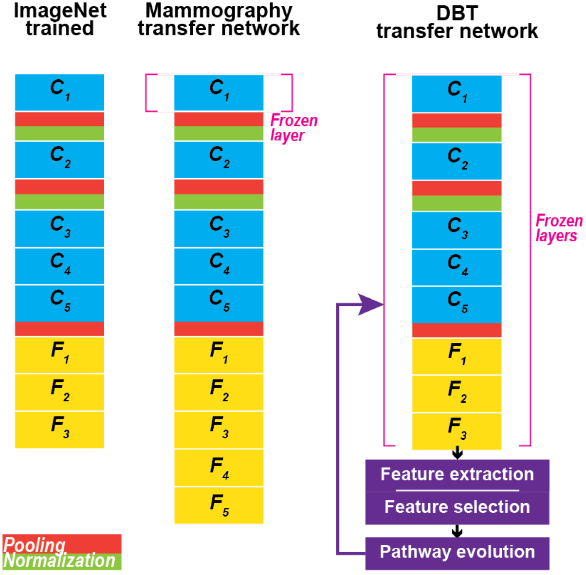 Evolutionary pruning of transfer learned deep convolutional neural ...