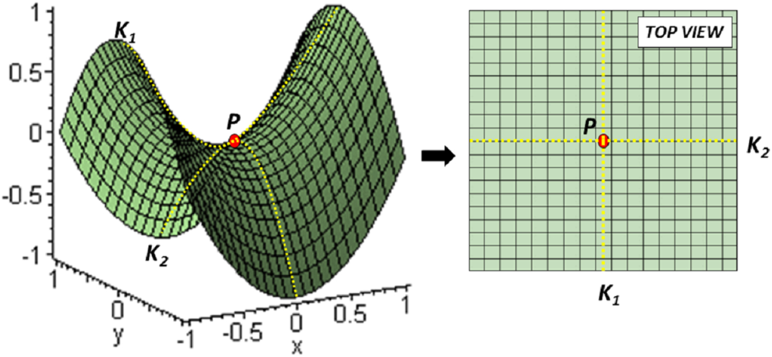 Gyroid Med Gyroid structures for 3D-printed heterogeneous radiotherapy phantoms ...