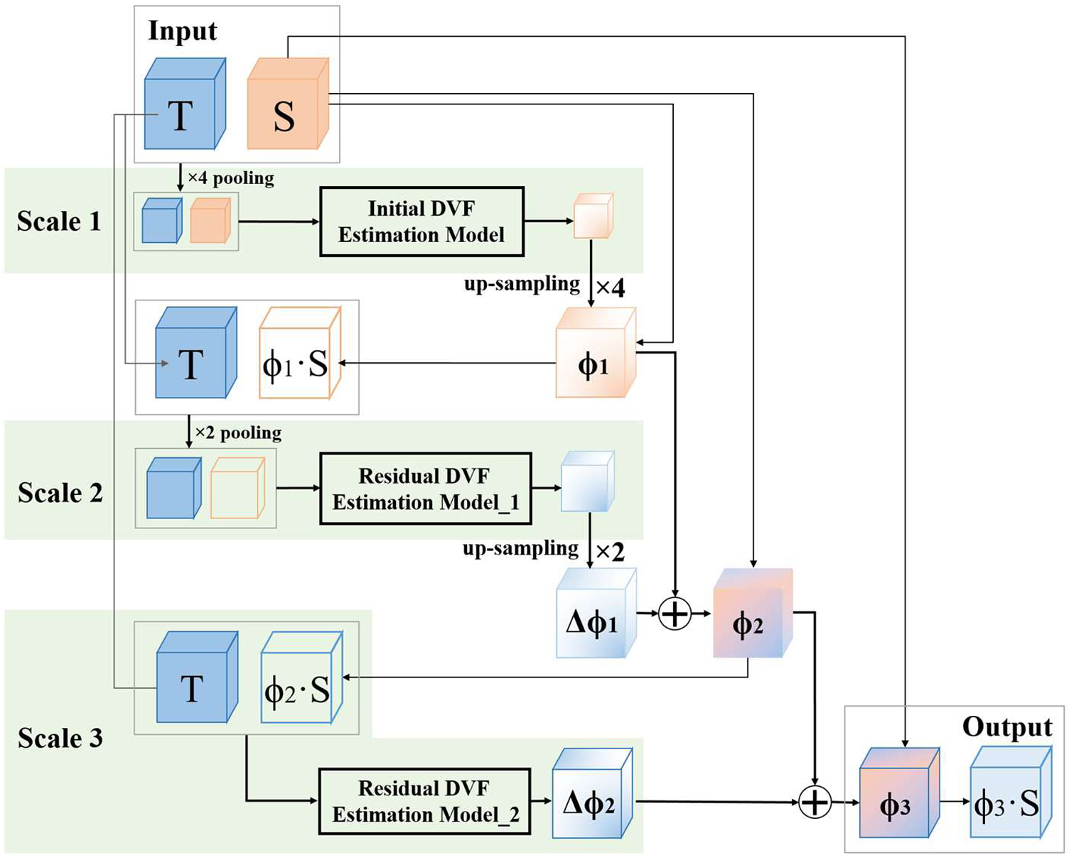 A multi-scale framework with unsupervised joint training of ...