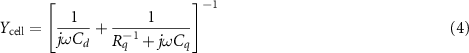 Equation (4)