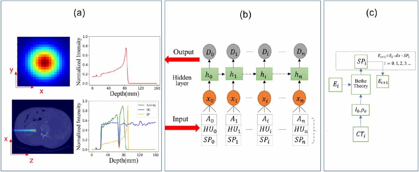 A machine learning framework with anatomical prior for online dose ...